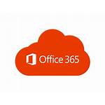 365 Office Office365 Options Cloud Many Too