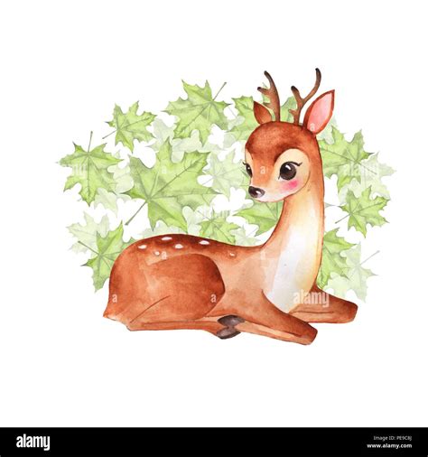 Baby Deer Cute Fawn Watercolor Illustration Stock Photo Alamy