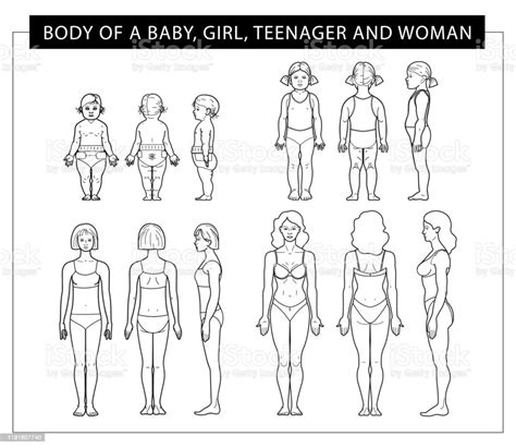 Body From Baby To Woman From All Sides Stock Illustration Download