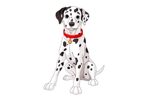 Clip Art Of Sitting Dalmation Dog Clip Art Of Dogs