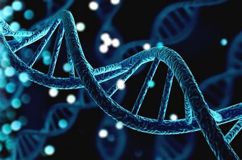 7 Perbedaan Dna Dan Rna Yang Perlu Diketahui Apa Saja Sonoraid