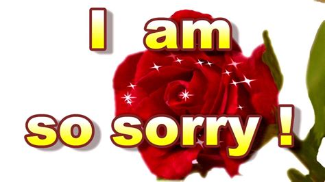 Check spelling or type a new query. Card For Sorry , Sorry Card, I am Sorry Greeting Card - YouTube