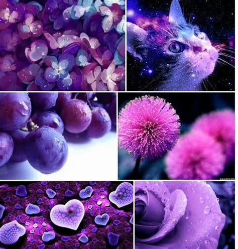 Things Of Purple Gods Love Purple Color Fruit Love Of God