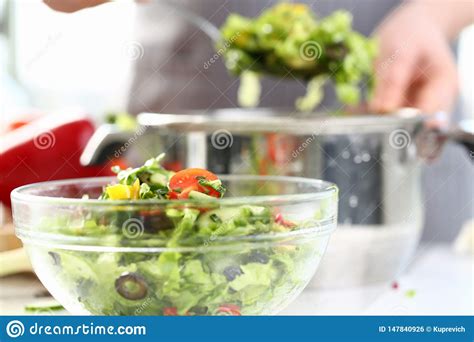 Fresh Organic Vegetable Ingredient Salad Photo Stock Photo Image Of
