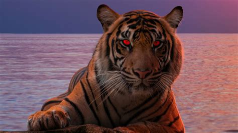 2048x1152 Tiger Glowing Red Eyes 5k 2048x1152 Resolution Hd 4k