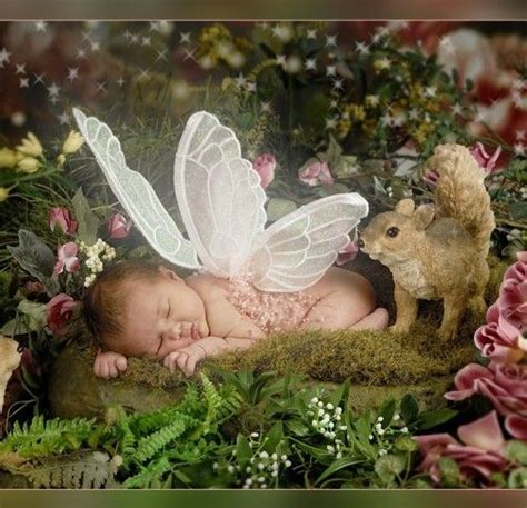 Image Result For Sleeping Fairy Photos Fairy Magic Fairy Angel Fairy
