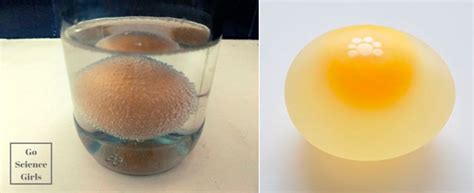 Sencillos Experimentos Caseros Con Huevos Para Realizar Con Los Mas