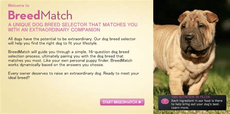 8 Dog Breed Selector Tools For Find Your Perfect Dog