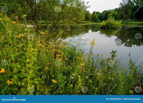 Warm Summers Day In Northeast Ohio Stock Photo Image Of Fish Summers