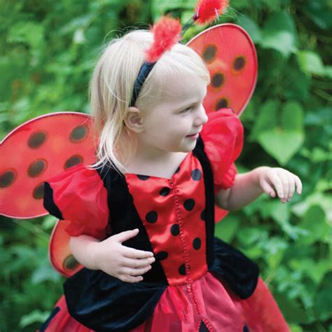 Themes And Characters Adorable Ladybug Wings Costume For Girls Red