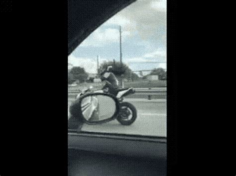 Riding Motorcycle Riding Motorcycle Triumph Discover Share GIFs