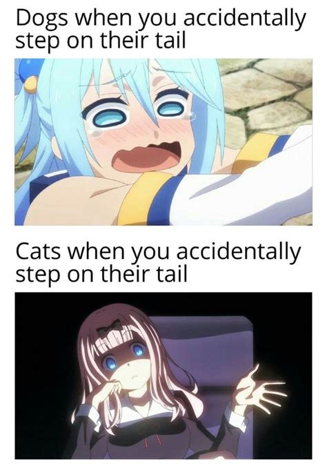 Animemes Anime Memes Anime Memes Funny Anime Funny
