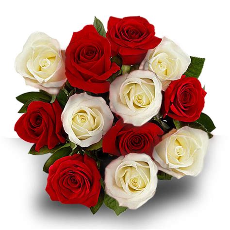 Red And White Rose Bouquet A6034 Flower Delivery Flower Shop