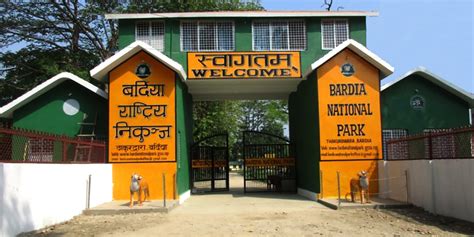 Bardiya National Park Safari Heaven Nepal Adventure