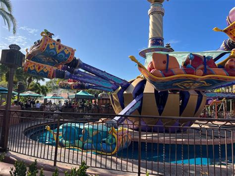 Photos Tarps Cover Multiple Ride Vehicles At The Magic Carpets Of