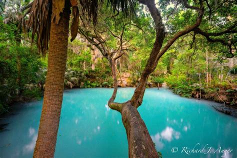 Green Springs Central Florida Florida Landscape Photography By