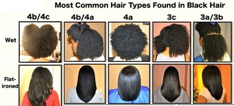 Hair Types Chart Wet And Flat Ironed Black Hair Types Relaxed Hair