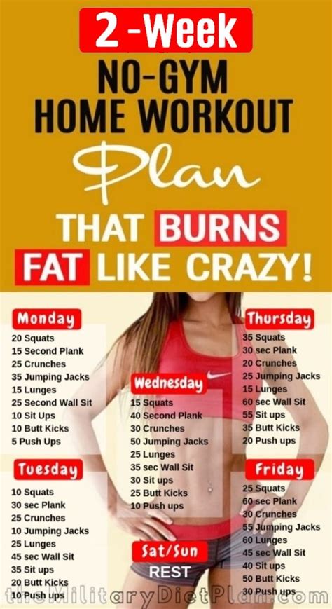 2 Week Workout Plan At Home Which Will Provide You A Perfect Body Shape