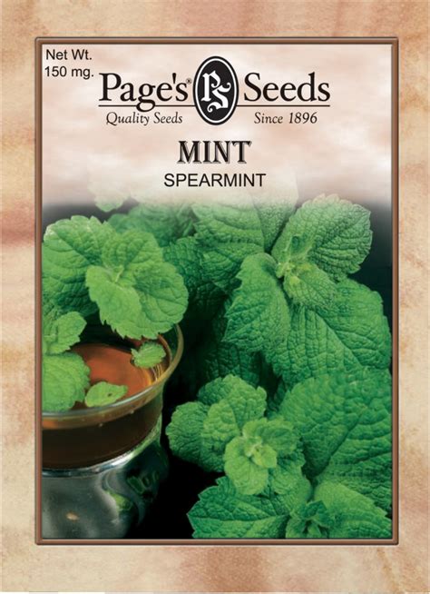 Mint Spearmint Herb The Page Seed Company Inc