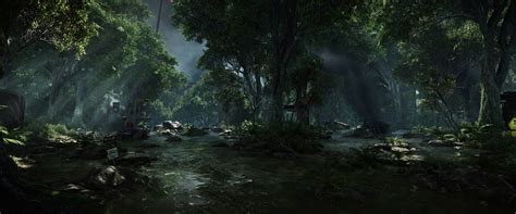About 8k Forest Wallpaper Online