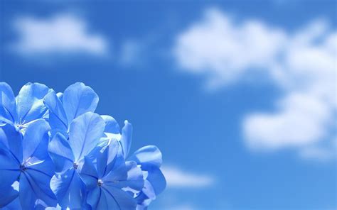 Hd Background Blue Wallpapers Part1