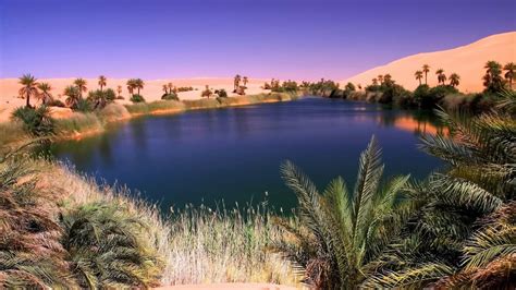 Image Result For Images Of Desert Oasis Desert Photography Deserts