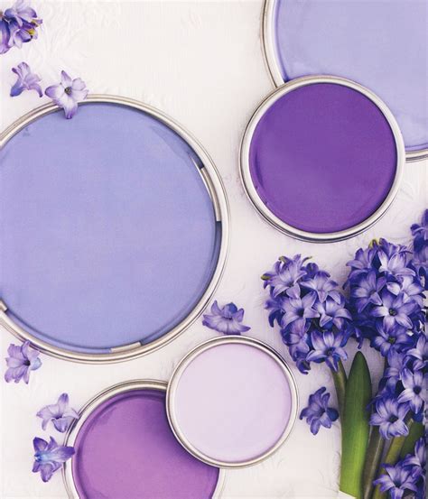 Paint Purple Colors Pros Cons And Ideas Paint Colors