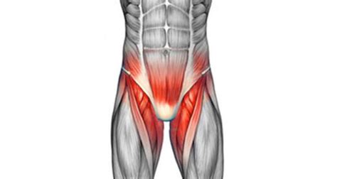 Groin Pain Groin Injuries Symptoms Causes And Treatment