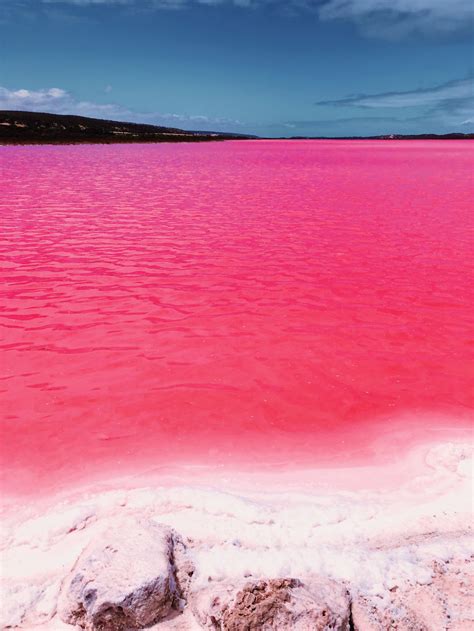 The Magic Pink Lagoon In Western Australia Photography By Kpnctnha