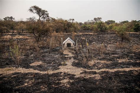 Reporte Oficial Por Los Incendios En Argentina Son Cinco Los Focos