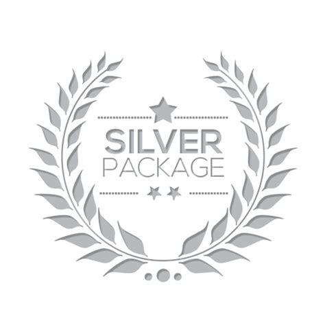 Silver Logo Logodix