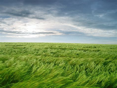 47 Grass And Sky Wallpaper Wallpapersafari