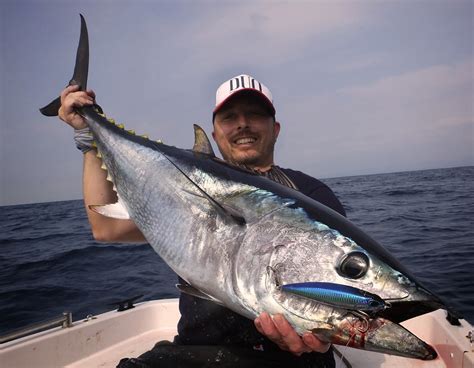 Raúl Marti La Pesca Del Atún A Superficie