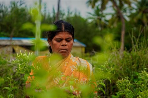 Rural Indian Women Farming In Flower Field In Tamil Nadu Flickr