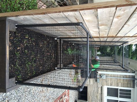 Diy Vegetable Garden Cage — My Simply Simple