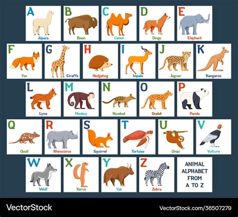 Cute Animals Alphabet Cards For Kids Education Vector Image