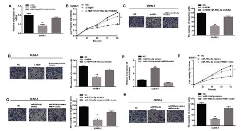 heih accelerated the npc progression by regulating mir 193a 5p a the download scientific