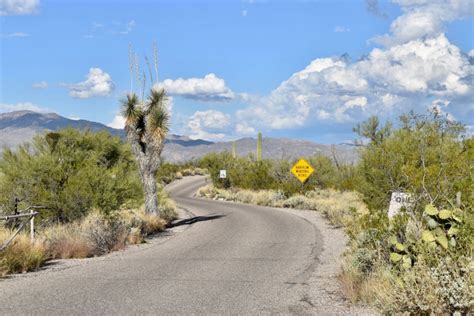 These deal offers are from many sources, selected by our smart and comprehensive system on coupon code, discounts, and. Saguaro National Park (RMD): Cactus Forest Drive - Tucson ...