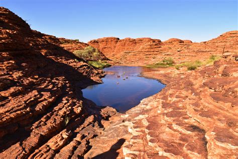 Australia Hiking Kings Canyon Rim Walk Cape Coconut