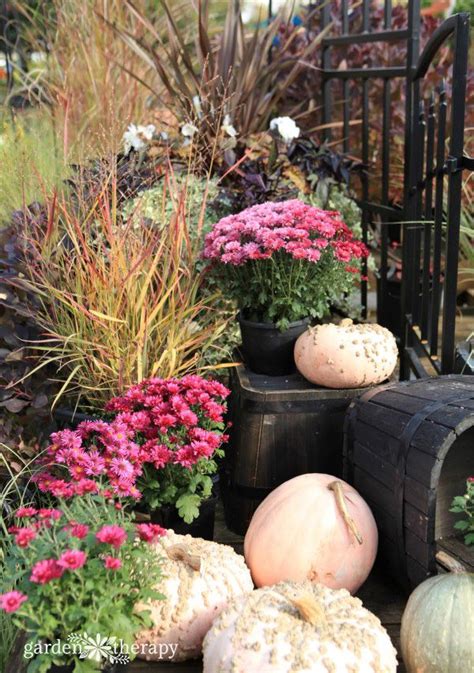 Modern Mums Re Imagining Color For Fall Outdoor Decor Garden Therapy