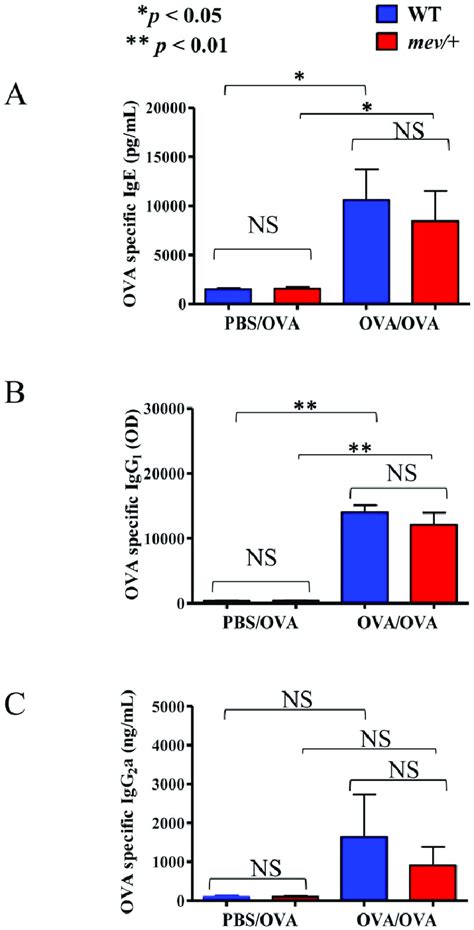 Serum Levels Of Ova Specific Immunoglobulins Serum Samples Of Wt And