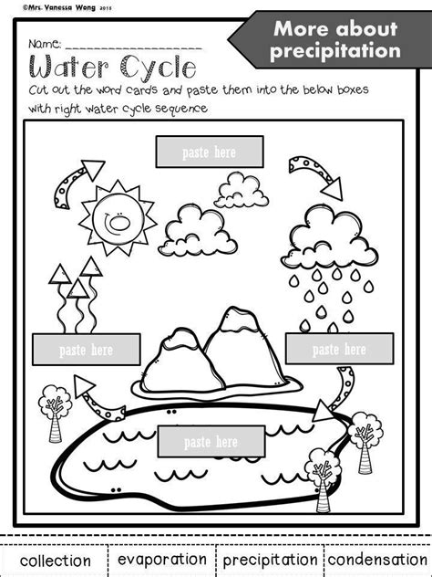 Weather Cycle Worksheet