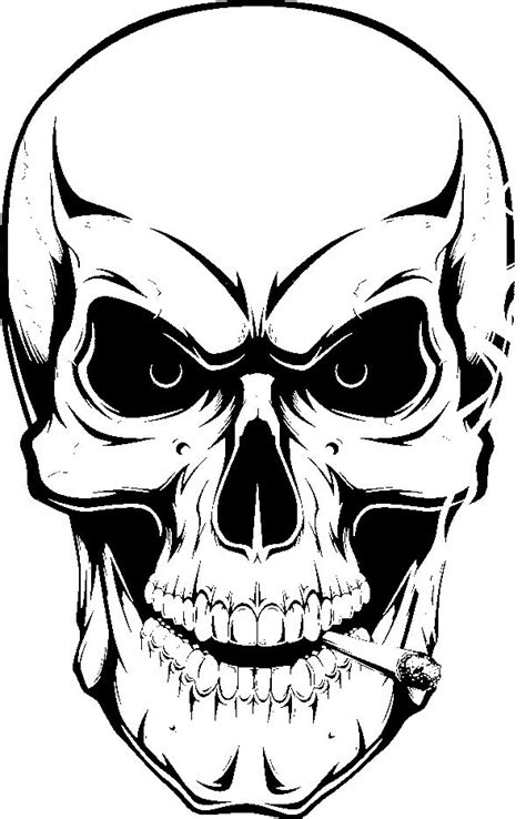 How To Draw A Human Skull Drawing Within 3 Easy Steps Easydrawingclub