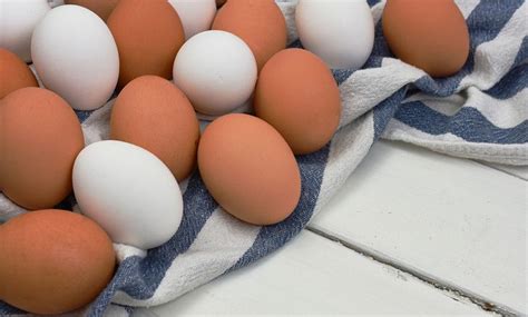 ostereier was sie zu ostern über eier wissen sollten