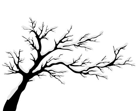 Maple Tree Silhouette Transparent Png Svg Vector File Images