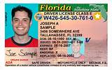 Pictures of Florida Drivers License Permit Test