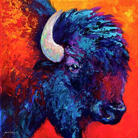 Bison Head Color Study Ii Painting By Marion Rose Pixels