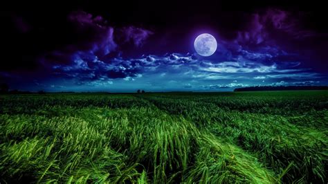 Download Grass Field Moon Landscape Night Clouds 1600x900 Wallpaper