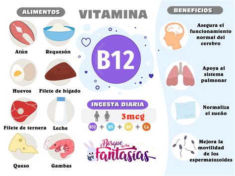 Infografia De Los Beneficios Vitaminas Complejo B Para My XXX Hot Girl