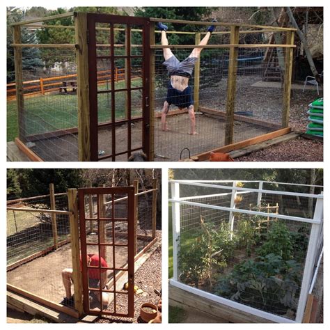 Southern living plant collection 2.5 qt. The amazing Deer Proof garden my hubby built me. It was ...
